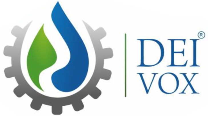 DEI VOX EXPERT SERVICES